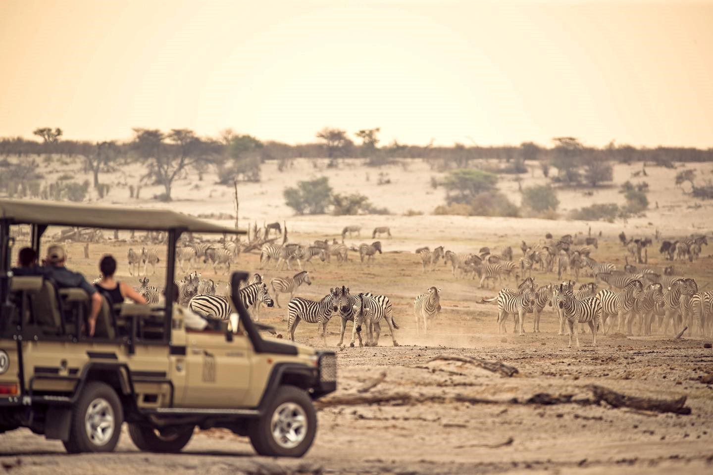 15 Things You Didn't Know About Botswana
